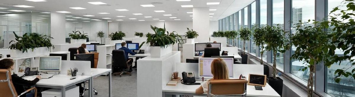 Позаботьтесь о качественном освещении в офисе!